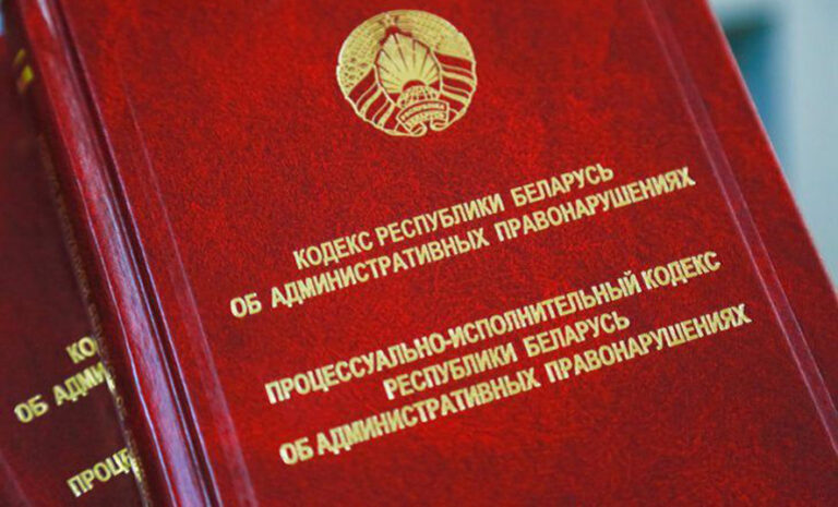 Состояние криминогенной обстановки в подростковой среде, принятие мер по стабилизации подростковой преступности на территории Минской области
