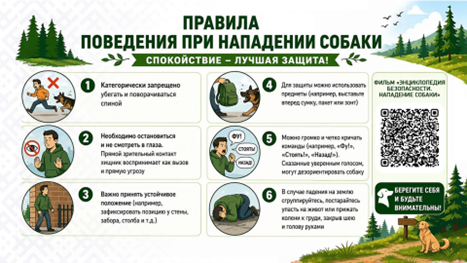 Рисунок13